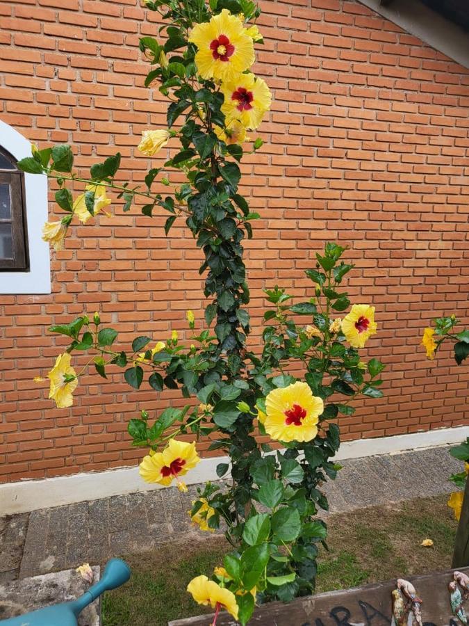 Pousada Terra Prometida เซาเปโดร ภายนอก รูปภาพ